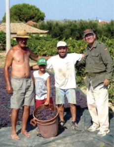 business_apotolopoulos