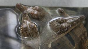 535059-7f81c80c-7647-11e3-ad16-5b01da53a32e