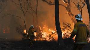NSW BUSHFIRES