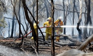 Bushfires, Charleston Conservation Park in the Adelaide Hills of South Australia, Australia - 15 Jan 2014