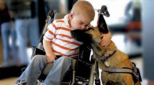 filosskulos_266180502