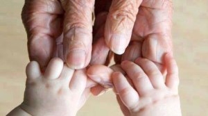 xeriagenies_617032653