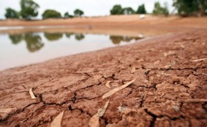 a_060410ctydbmonger9_19h9tgi-19h9tgl