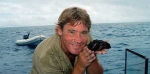 SCCZEN_A_050308HOSSPLOCEANS1_620x310