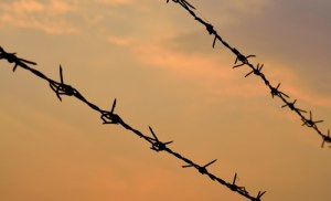 shutterstock_179601488