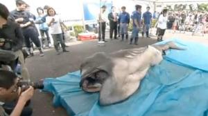 423206-0c04c3be-d701-11e3-b5be-ec06717bccf7