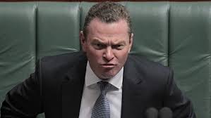 pyne