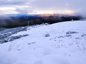 217637-boy-7-dies-lost-in-victoria-snow