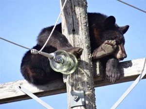 C00BA84B856CEB90EAA620C15B1CFE83