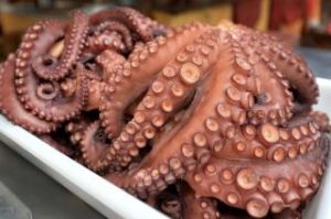 cooked_octopus