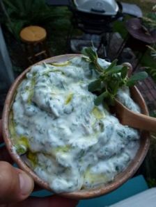 purslanetzatziki