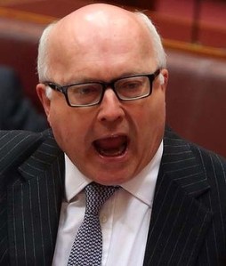 art-353-brandis-2-300x0