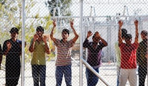 metanastes_AMIGDALEZA_MADATA_906572299