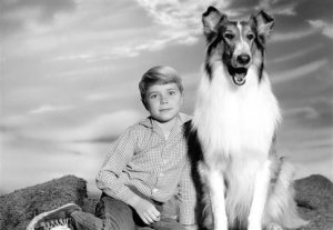 B7856D84CEF62BAD4E288654240E171D