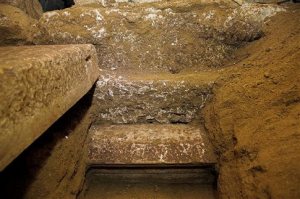 C13802D65DC28A70BD48424B555F0EF0