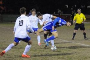 port%20melb%20sharks