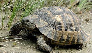 xelwna_madata_460389505