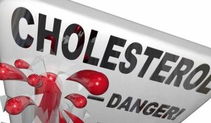 xolisterini_401190137