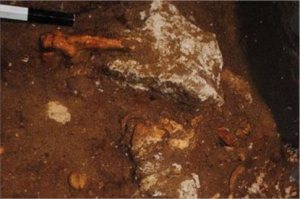 4F9B46BF9C087317D350CF6A620CF651