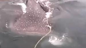 308359-40c4351e-16f5-11e5-be24-42d1c440f308