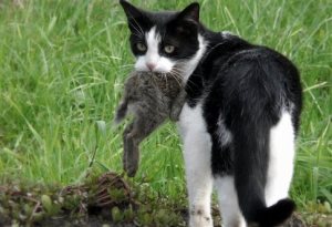 535A140616400C004D5D26CCB3CCF46F