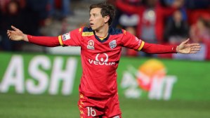 craig-goodwin-went-close-to-an-equalising-goal-against-man-city_qzy5s9xxp29r1lq1yvy8kilnl