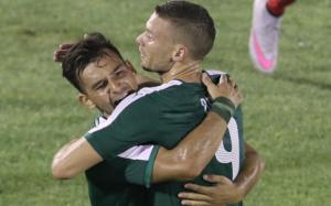 ninis_berg_web-thumb-large