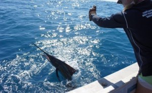 dsc07346_1as0hb7-1as0hbc