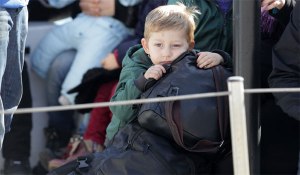 metanastes2_285420935