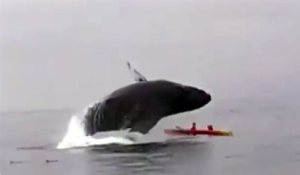 203101783D70A0C26F145522BFEE9C5D