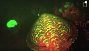 9C616070A085D09253CE4CDA24E66B48