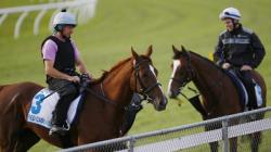 03eaa444e1d3f8b9150ed1a9efcda2bb