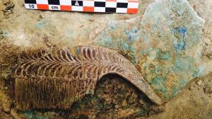 internet11-thumb-large