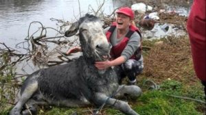 0F67A2F2CE294BDB0E723738039B8D37