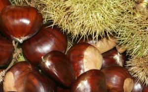 chestnuts2jpg-thumb-large