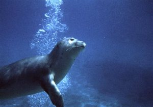 F1ADD13D4E40D8909CA8E6CF1AA233D7