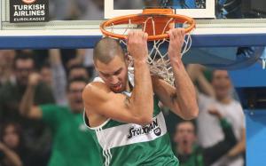 pavlovic_web-thumb-large