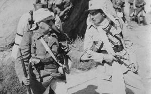 greeks_hollywood-thumb-large