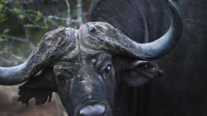 91da2b529984702d1a54ff482c5693a5