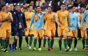 the-caltex-socceroos-celebrated-their-empathic-result-in-front-of-over-35000-fans-at-full-time_1twh87m7ln4gd1fm57mwsm0i07