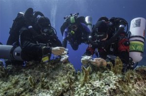 C8C39D6C7882279910F5A98E05411E36