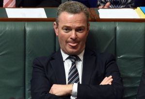 pyne-93k4yjo88io7wg4eim2_t620